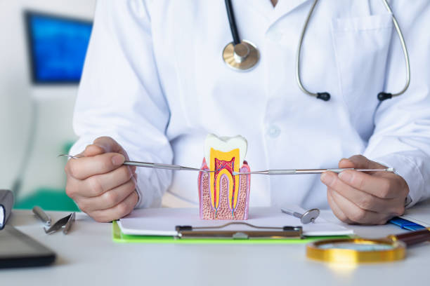 Best Broken or Chipped Tooth Repair in Timberville, VA